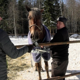 Kim Åkerlund (oik.) kertoo Juha Jokisen haastattelemana työstään hevosten parissa. 