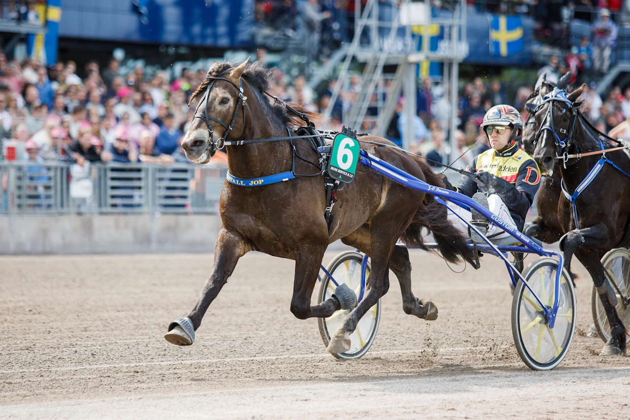 Bäclös Uriel on Perssonin tallin positiivinen yllättäjä. Valmentaja toivoo tulevansa sen kanssa ensi kaudella Nordic Kingiin. Kuvassa rattailla on Mats E Djuse.