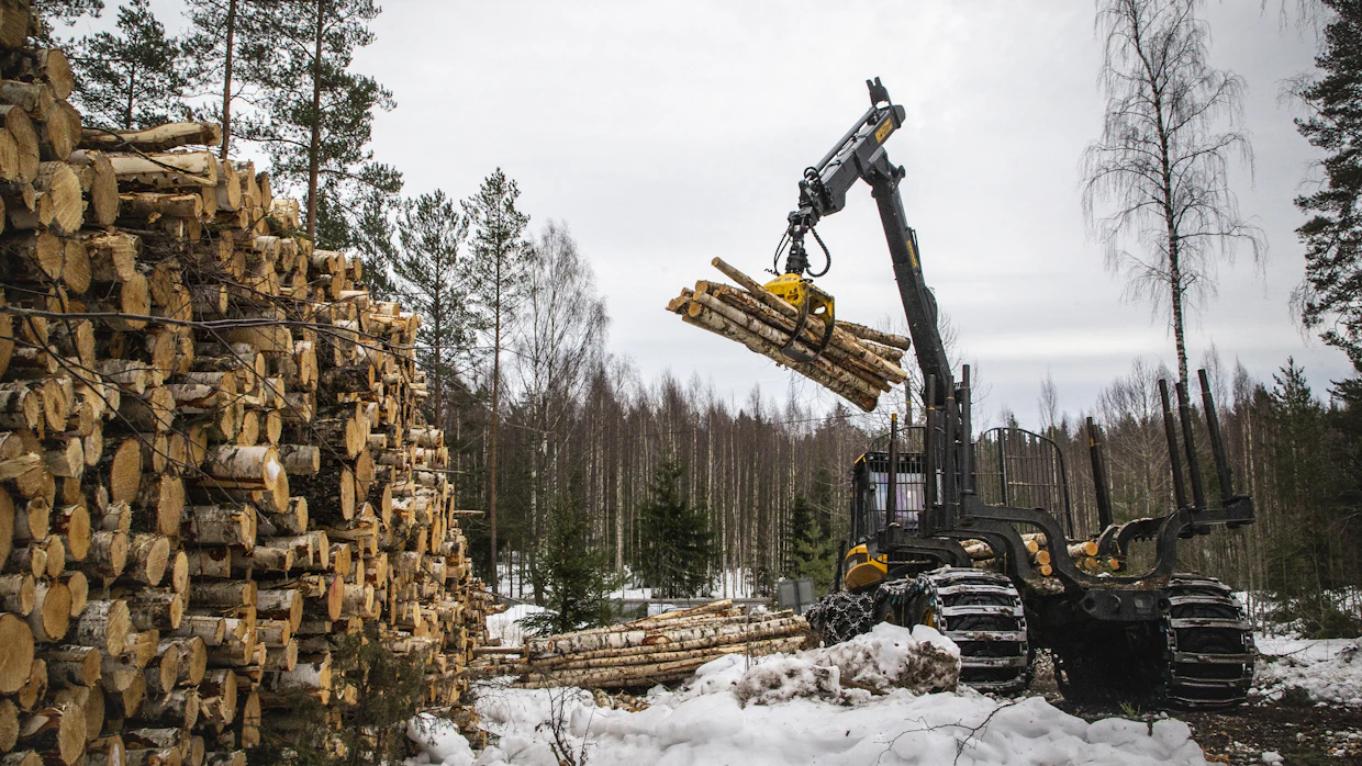 Luonnonvarakeskuksen mukaan lähes puolet kaikista markkinahakkuista saatiin vain viiden maakunnan alueelta: Pohjois- ja Etelä-Savosta, Pohjois-Karjalasta, Pohjois-Pohjanmaalta ja Keski-Suomesta.