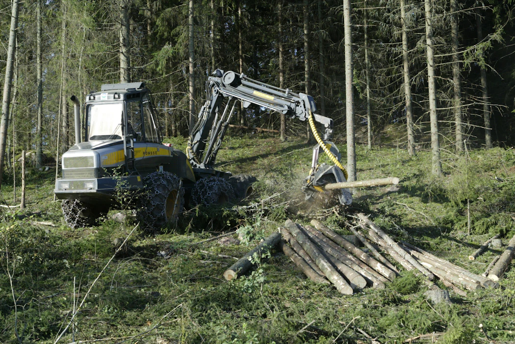 Venäläisen puun korvaaminen kotimaisella puulla on tuonut metsäalalle lisää töitä. Samalla yritysten työntekijäpula on kärjistynyt.