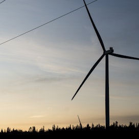 Tuulivoiman tarjonnan tuntuva kasvu on tuonut mukanaan myös ennennäkemätöntä lyhyen aikavälin vaihtelua sähkön hintaan.