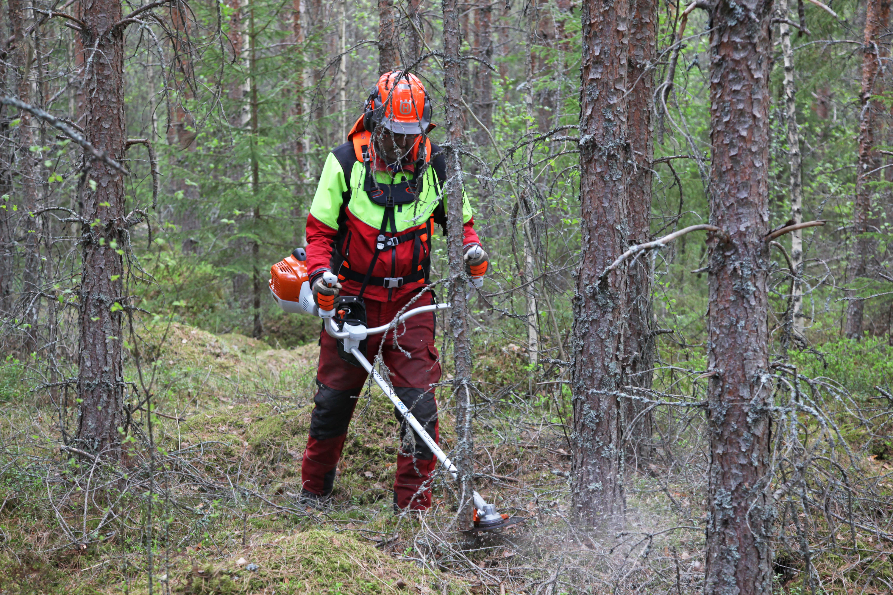 Stihlin monitoimiraivurissa on leveä niittokahva. Sahan käyttökelpoisuus metsässä parantuu, kun runkoja ei ole kovin tiuhassa.