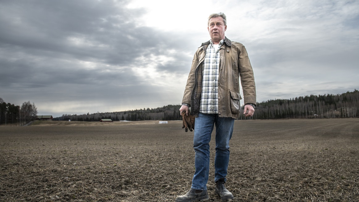 Tällä lohjalaisella pellolla pitäisi kasvaa syysvehnää. Tämä vuosi on kärjistänyt ongelmat, jotka ovat olleet nähtävillä aiemminkin, MTK:n vilja-asiamies Max Schulman aprikoi. ”Siinä vaiheessa kun syysvehnä kylvettiin, ei voitu ennustaa että lannoitteiden hinnat kolmin- tai nelinkertaistuvat, polttoöljyn hinta tuplaantuu tai että vehnä ei talvehdi.”