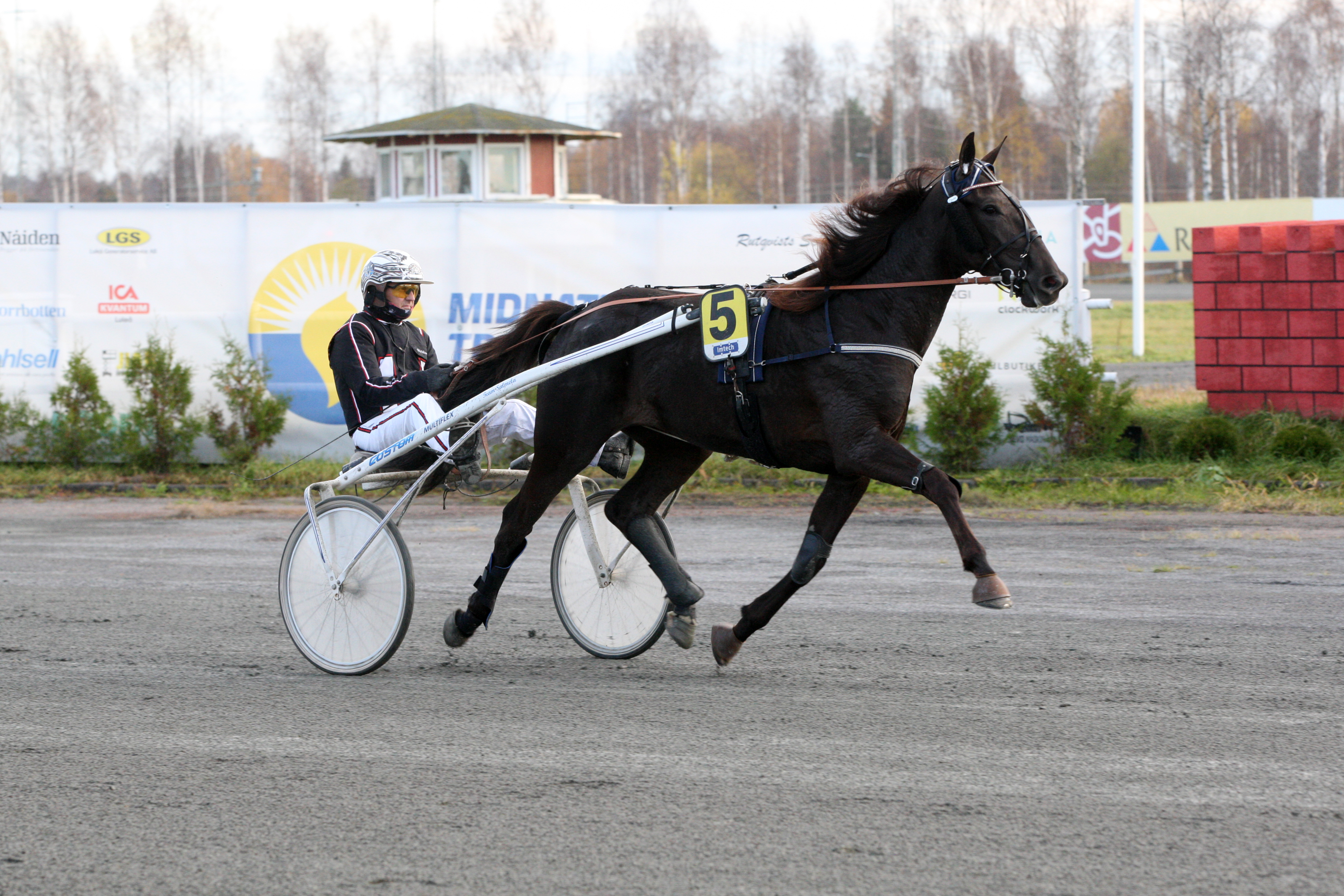 Cyberstonen avausstartti Suomessa ei ole helpoimmasta päästä, sillä vastassa ovat mm. EL Narnia, Margarita Frido sekä Lafayette.