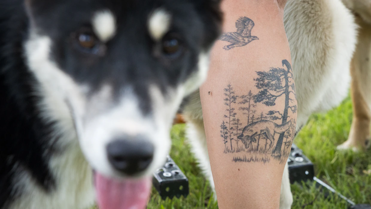 Susanna Kinnunen on ottanut tatuointeja suolla kohtaamistaan eläimistä. Korppi on tärkeä voimaeläin.