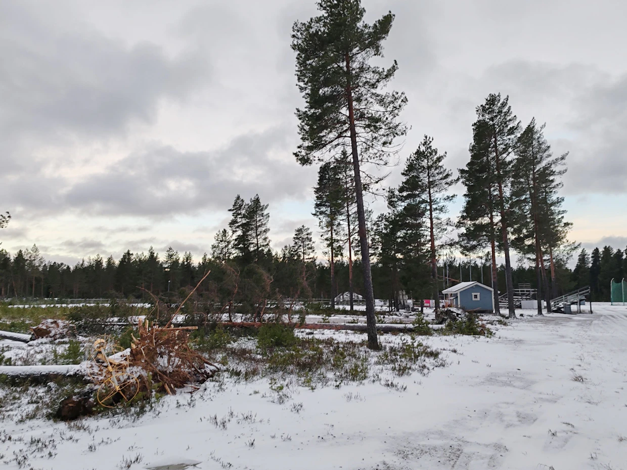 Puita on kaatunut Kaustisella paljon, ja lisävahinkoja voi tulla kaatumaisillaan olevista puista.