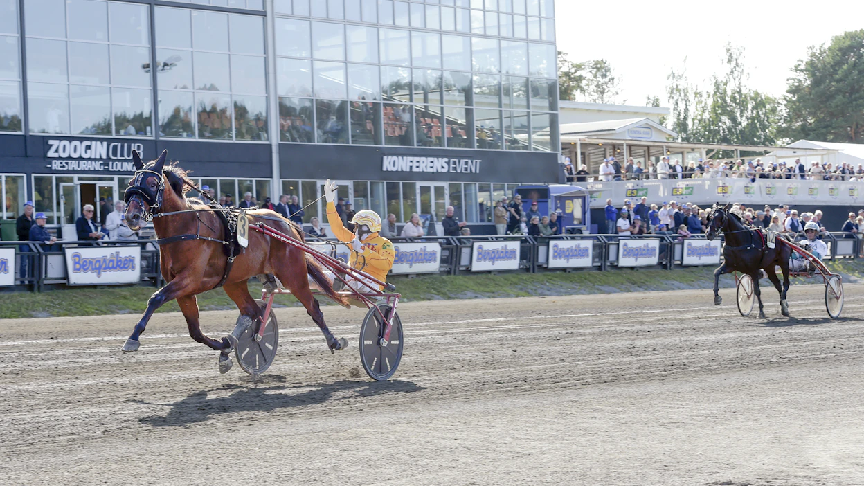 Alessandro Gocciadorolla oli aikaa tuuletella oriiden ja ruunien E3-finaalivoittoa Expo Wise Asin rattailla Bergsåkerissa.