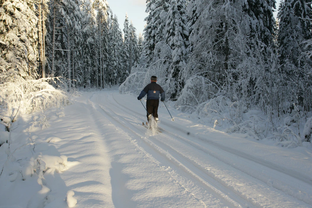 Suhtautumisemme metsään voi olla rationaalinen, taloudellinen, arkinen, vapauttava, pyhä tai kaikkia näitä yhtä aikaa, mutta yhtä kaikki me todella välitämme metsistämme, kirjoittaa näyttelijä Jussi Vatanen.
