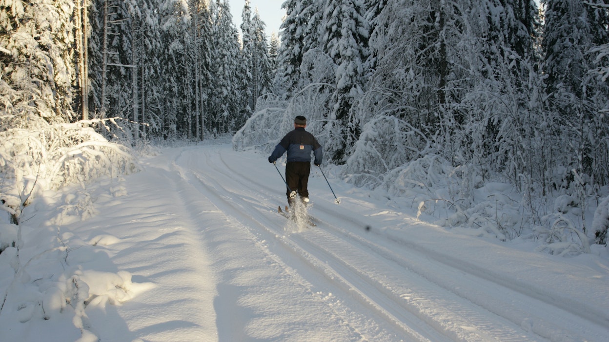 Suhtautumisemme metsään voi olla rationaalinen, taloudellinen, arkinen, vapauttava, pyhä tai kaikkia näitä yhtä aikaa, mutta yhtä kaikki me todella välitämme metsistämme, kirjoittaa näyttelijä Jussi Vatanen.