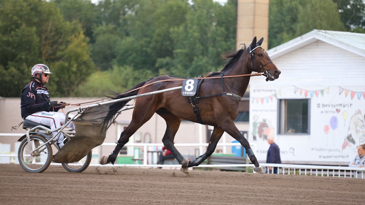 Perfect Stranger on yksi Euronelkku-kohteiden suosikeista.