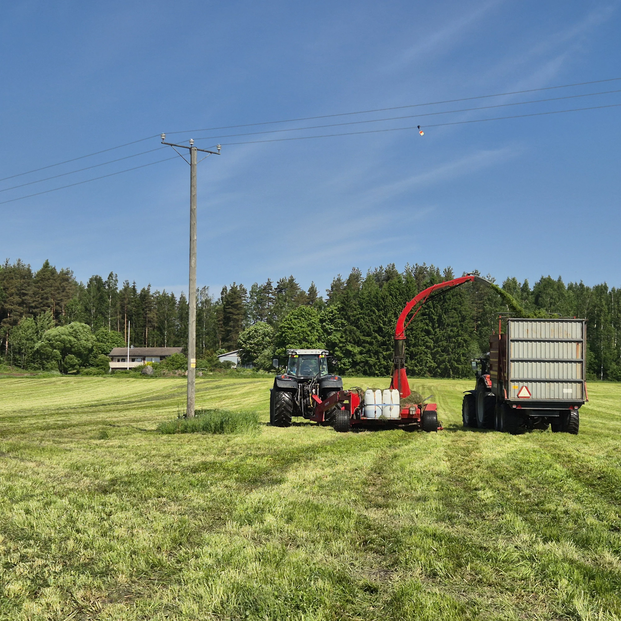 Säilörehu-urakka alkoi perjantaina aamulla. Tässä valmistuu ensimmäinen iso lohko.