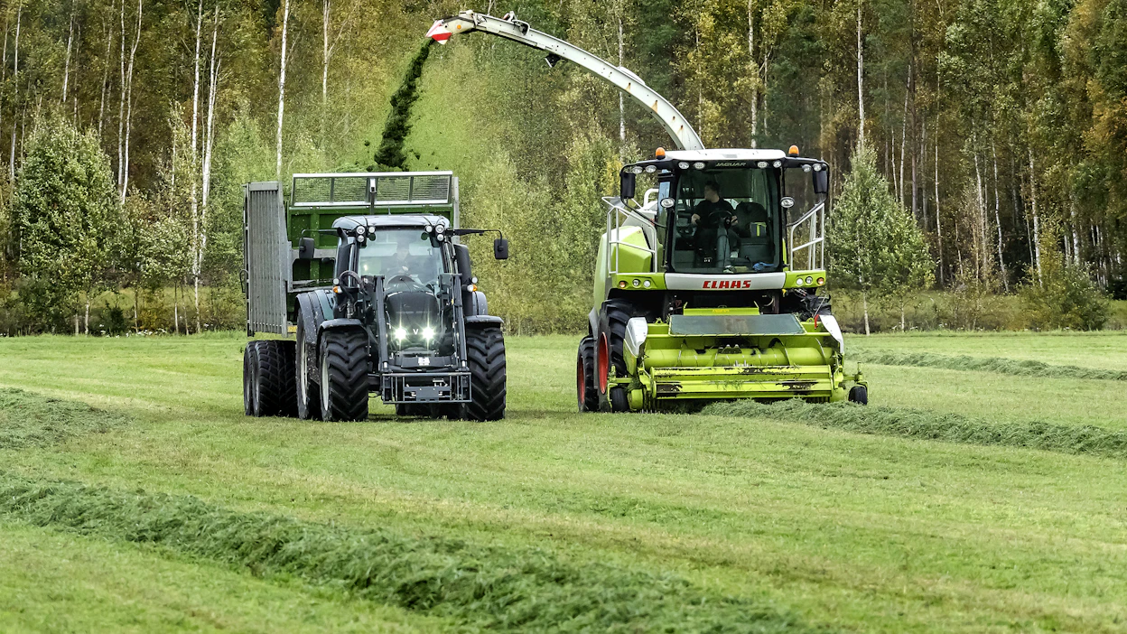 Kasvaneen korjuualan ja etäämmällä olevien lohkojen myötä ajosilppuriketjun käyttö rehunkorjuussa on yleistynyt.