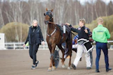 Jonna Irri, Majestic Man ja Taneli Säde Finlandia-ajon hetkillä, rattailla Olli Koivunen.