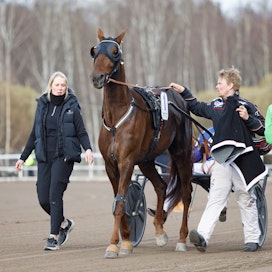 Jonna Irri, Majestic Man ja Taneli Säde Finlandia-ajon hetkillä, rattailla Olli Koivunen.