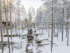 Vuosittain valmistuu noin 400 uutta metsäkoneenkuljettajaa, joista alalla pysyy alle puolet. Paavo Ahtiainen on viihtynyt työssään 14 vuotta.