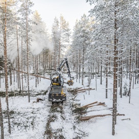 Vuosittain valmistuu noin 400 uutta metsäkoneenkuljettajaa, joista alalla pysyy alle puolet. Paavo Ahtiainen on viihtynyt työssään 14 vuotta.
