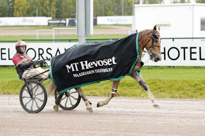 Suven Sametti jatkoi voittokulkuaan Seinäjoella. Hevosen valmentaja Tapio Perttunen vastasi ohjastuksesta.