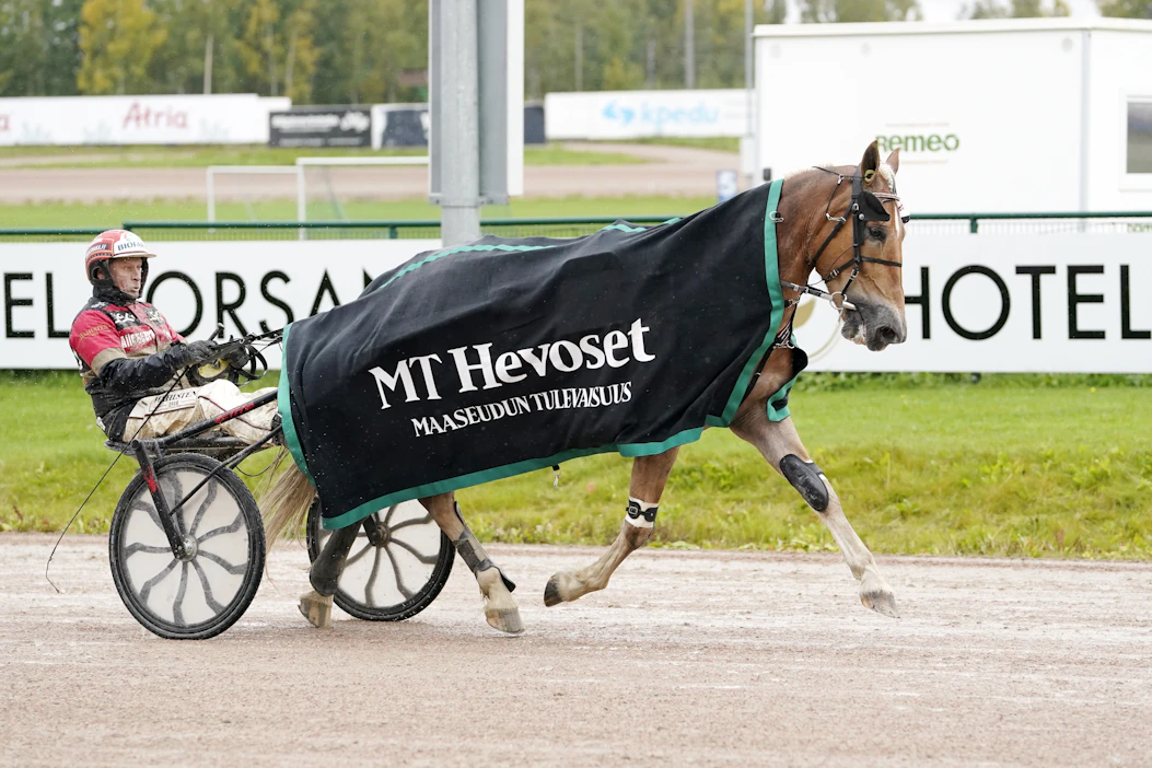 Suven Sametti jatkoi voittokulkuaan Seinäjoella. Hevosen valmentaja Tapio Perttunen vastasi ohjastuksesta.
