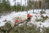 Metsätyömaalla äänimaailma muuttuu, jos työskentelyssä siirtyy akkukäyttöisiin sahoihin. Mutta viilan suhina ja kaatuvien puiden ryske säilyy.