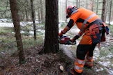 Metsäalan työsopu kestää vuoden 2026 tammikuulle.