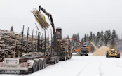 Tutkijoiden ehdottaman metsähakeveron seurauksena arviolta vajaat kaksi miljoonaa kuutiota puuta voisi siirtyä energiakäytöstä jalostukseen.