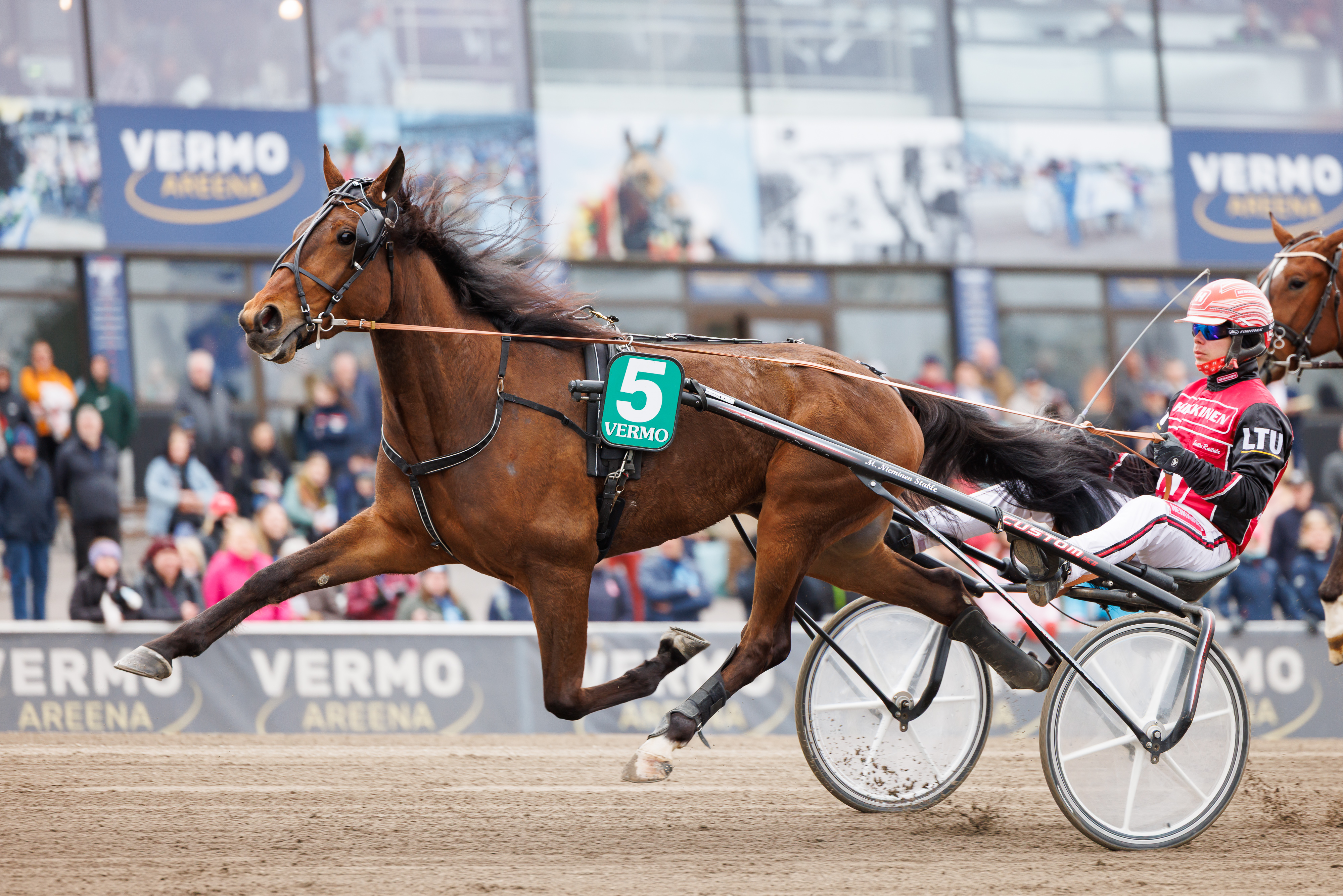 Ancio liiteli avojaloin voittoon Vermon Derbylauantaina. Kuinka käy Kriteriumissa?