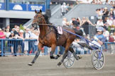 Tuomas Korvenoja on Derbyn kokeneita kehäkettuja. Huippuhevosellaan Jontte Boyllä hän ei päässyt yrittämään Derbyä, mutta sen pojalla kuvan Laxvikens Amiralilla hän ja Jontte Boyn omistaja-kasvattaja Matti Kallio yrittävät revanssia.