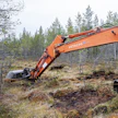 Ennallistaminen käynnissä. Kuvituskuva.
