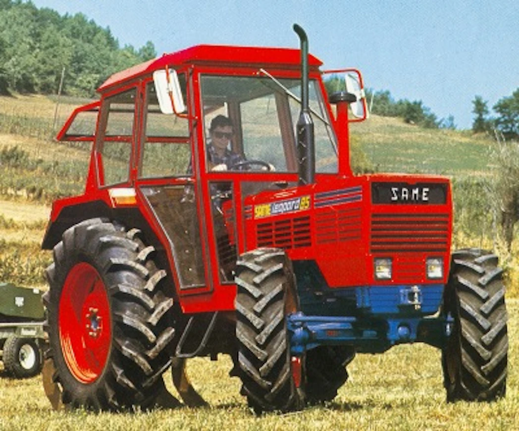 78SameLeopard85