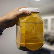 Soleiini on proteiinipitoista jauhetta. Se on äskettäin saanut myyntiluvat Yhdysvalloissa. Euroopassa sitä ei ole vielä hyväksytty elintarvikkeeksi.