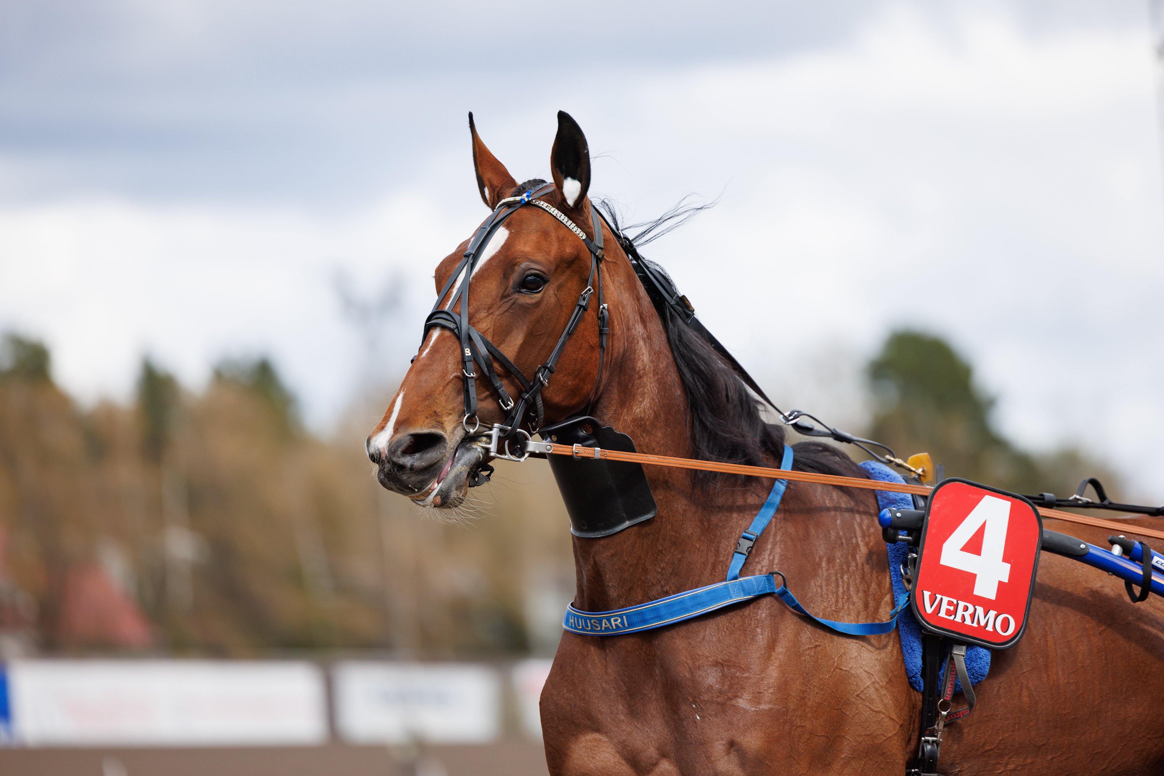 April O’Neil on 65-vihjeen tukipilari.