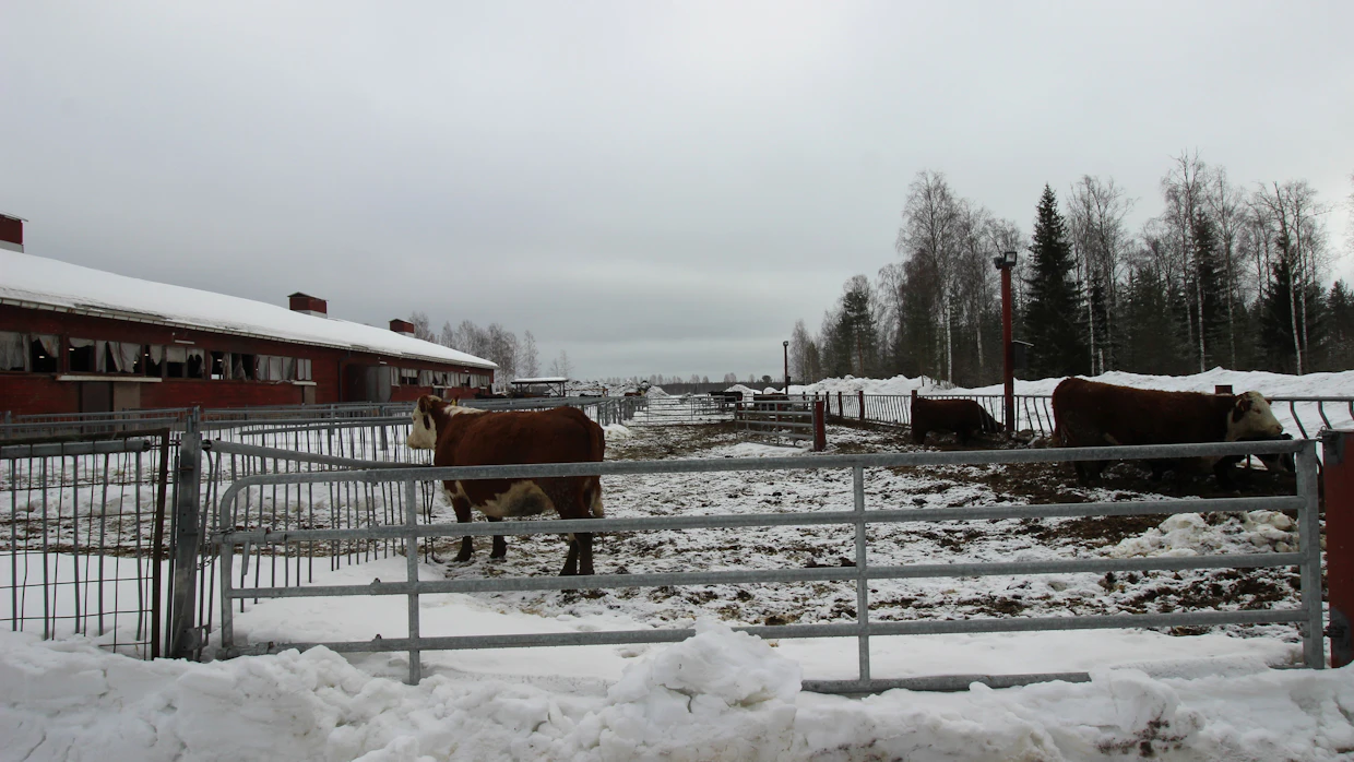 Ulkoruokintakentän rakentaminen on viimeisin tilalla tehty investointi. Entisen tutkimusnavetan peruskorjaus on lähivuosien suunnitelmissa.