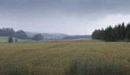 Jyväskylän Puuppolassa heinäkuu on ollut sateinen, ja vettä tuli myös kuvaushetkellä keskiviikkona.