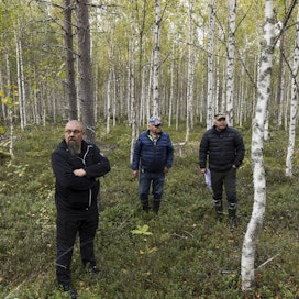 Särkijärven kylällä asuvat Tommi Väisänen, Tapio Jurva ja Teuvo Murtovaara seisovat paikassa, johon on suunniteltu tuulivoimala Utajärven Pahkavaarassa.