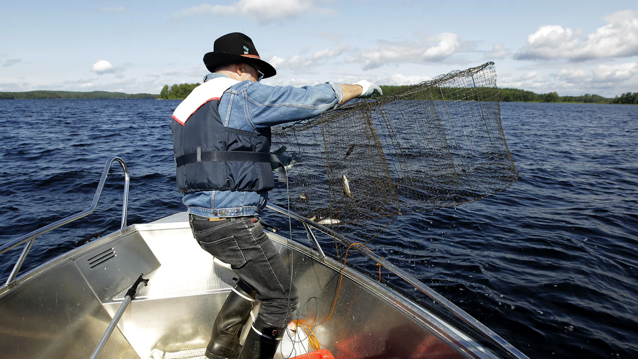 Kalastonhoitomaksu pitää maksaa niiden, jotka kalastavat muulla tavoin yhdellä ongella, pilkillä tai silakkalitkalla.
