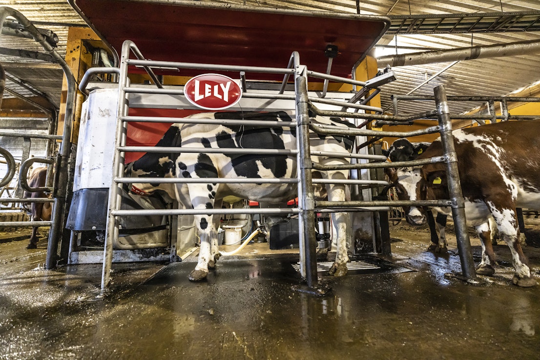 Suomessa Bovaerin käyttö on vapaaehtoista. 