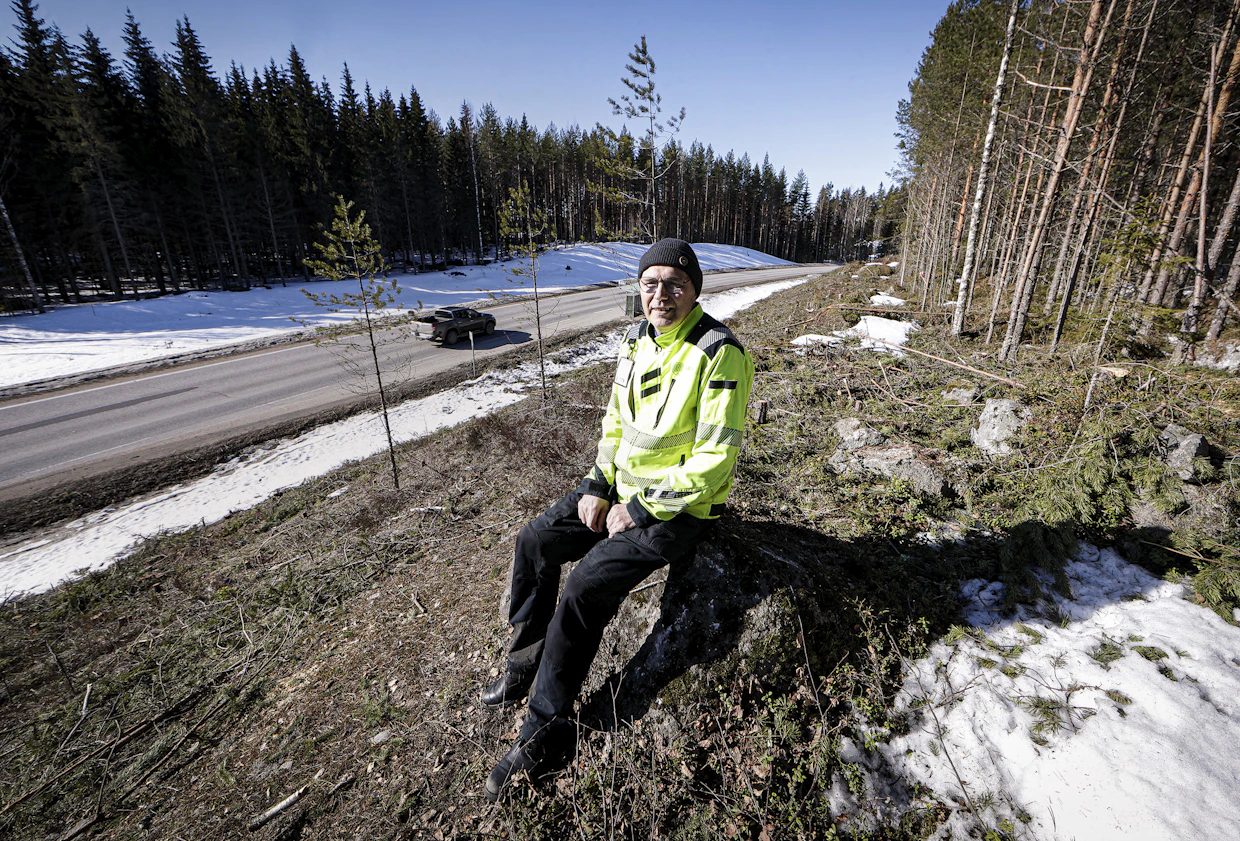 Tienvarsipuuston raivaamisesta on saatu hyviä kokemuksia. Teitä ylläpitäville Ely-keskuksille raivaus tuo tuloja.