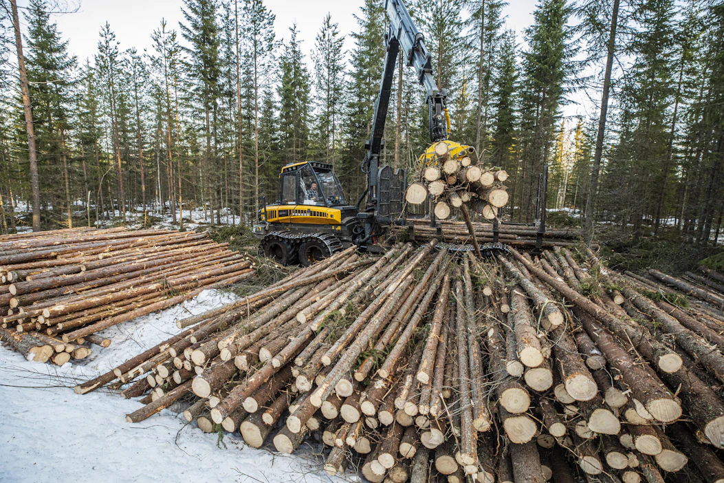 Metsäteollisuus on ostanut puuta yksityismetsistä alkuvuonna yli 2,2 miljoonaa kuutiometriä.