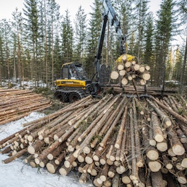 Metsäteollisuus on ostanut puuta yksityismetsistä alkuvuonna yli 2,2 miljoonaa kuutiometriä.