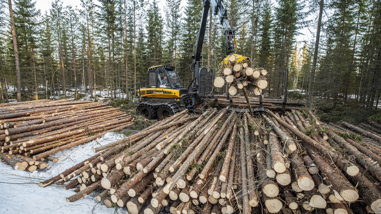 Metsäteollisuus on ostanut puuta yksityismetsistä alkuvuonna yli 2,2 miljoonaa kuutiometriä.