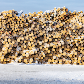 Suomalaisyhtiöt päättivät korvata venäläisen tuontipuun pääosin kotimaisella puulla.