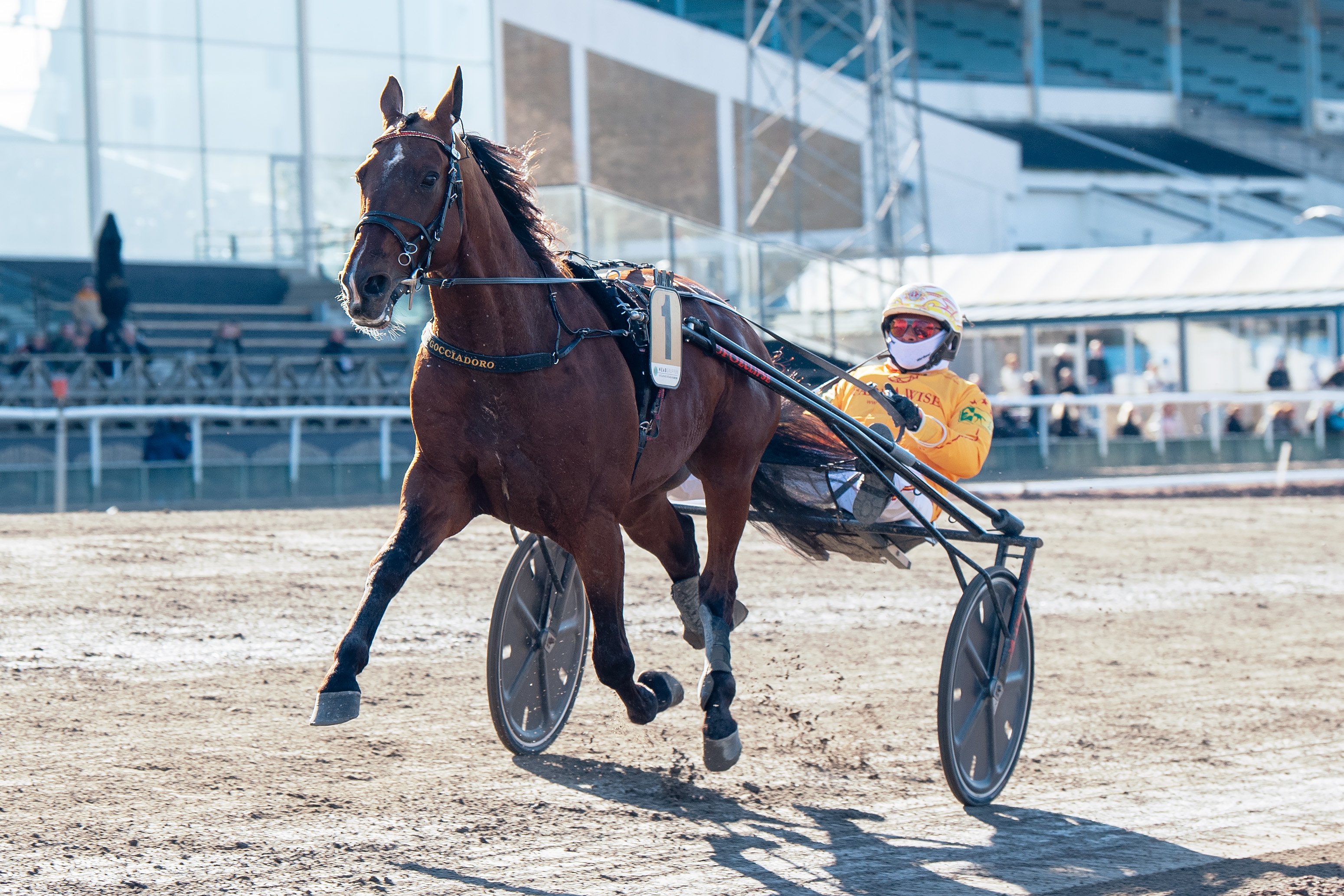 Catullo Jet nousi viime hetkillä mukaan Finlandia-ajoon. Alessandro Gocciadoron valmentaman orin omistaja on kahdesti NBA:n parhaaksi pelaajaksi valittu Nikola Jokic.