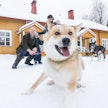 Tokrajärven vanhasta koulusta Ilomantsissa tuli koti Kinnusen kuusihenkiselle perheelle, joka muutti ummikkoina Etelä-Ruotsista itäiseen Suomeen. Perheeseen kuuluu myös kaksi koiraa.