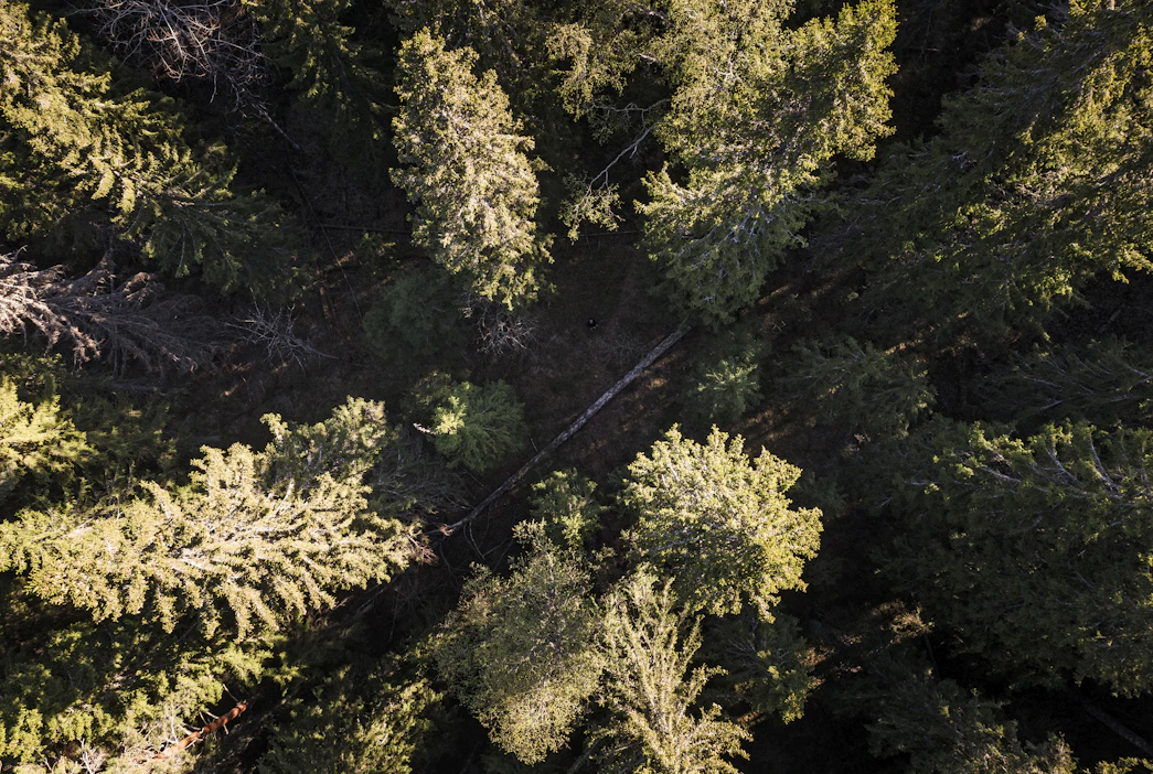 Metsänomistajille tulisi olla tarjolla työkaluja, jotka tukevat omistajanvaihdoksia koskevan keskustelun aloittamista.
