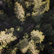 Metsänomistajille tulisi olla tarjolla työkaluja, jotka tukevat omistajanvaihdoksia koskevan keskustelun aloittamista.