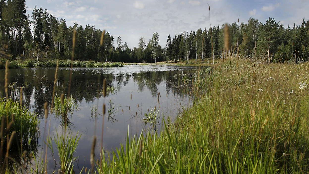 Maanomistajat ovat osallistuneet hankkeeseen esimerkiksi antamalla omia maita sorsien levähdysalueiksi.