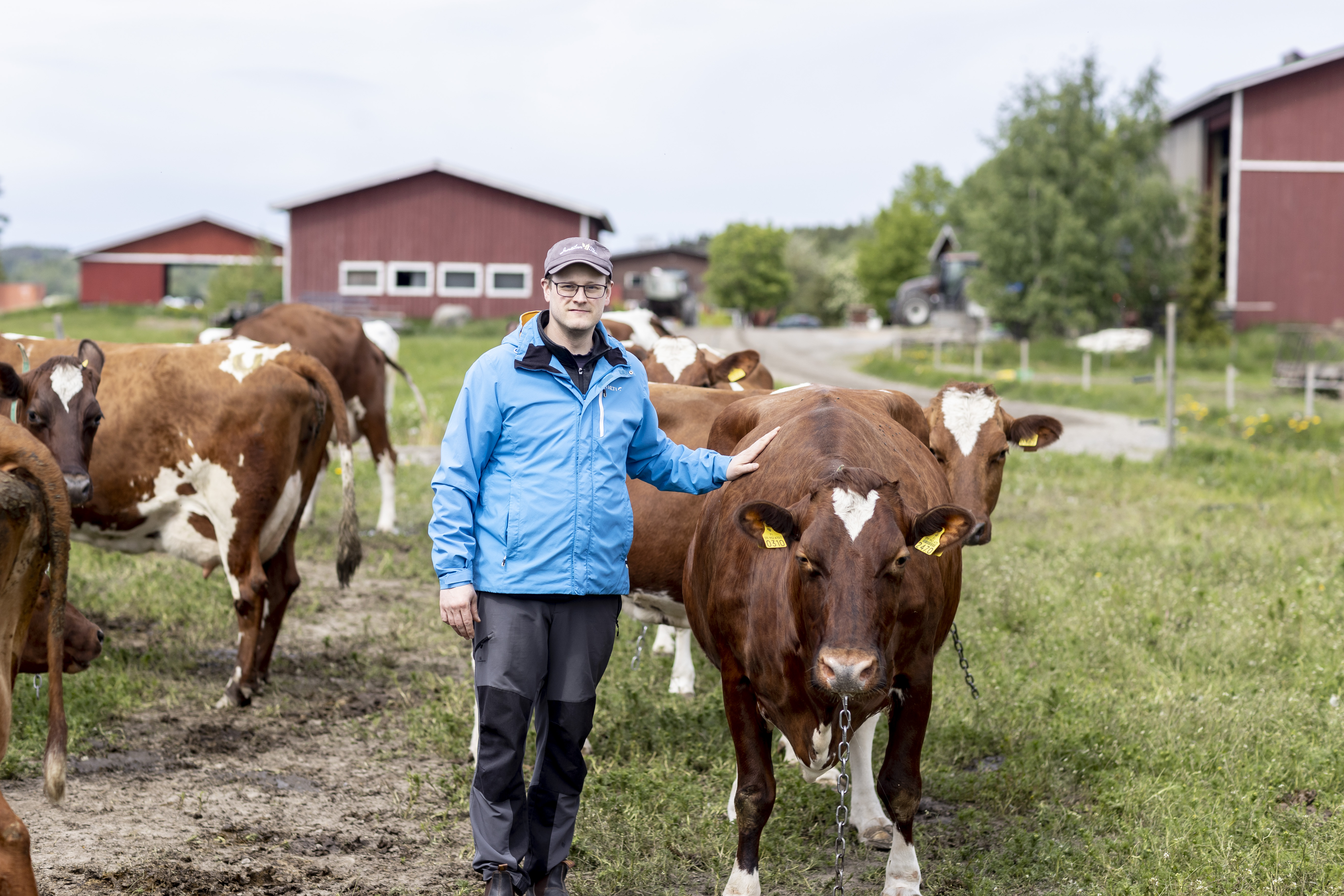 Maaseutuyrittäjä Mikko Ala-Orvola isännöi lypsykarjatilaa Vesilahdessa Pirkanmaalla.