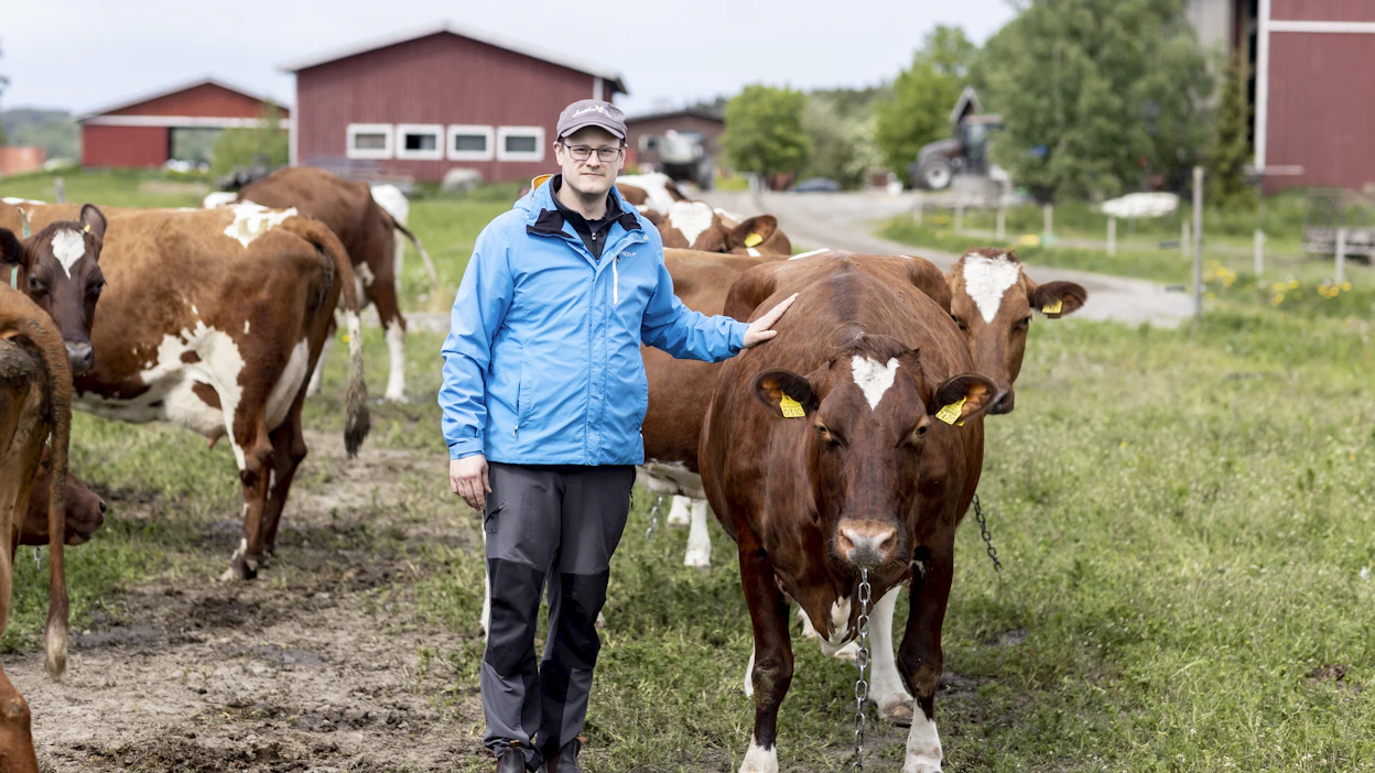 Maaseutuyrittäjä Mikko Ala-Orvola isännöi lypsykarjatilaa Vesilahdessa Pirkanmaalla.