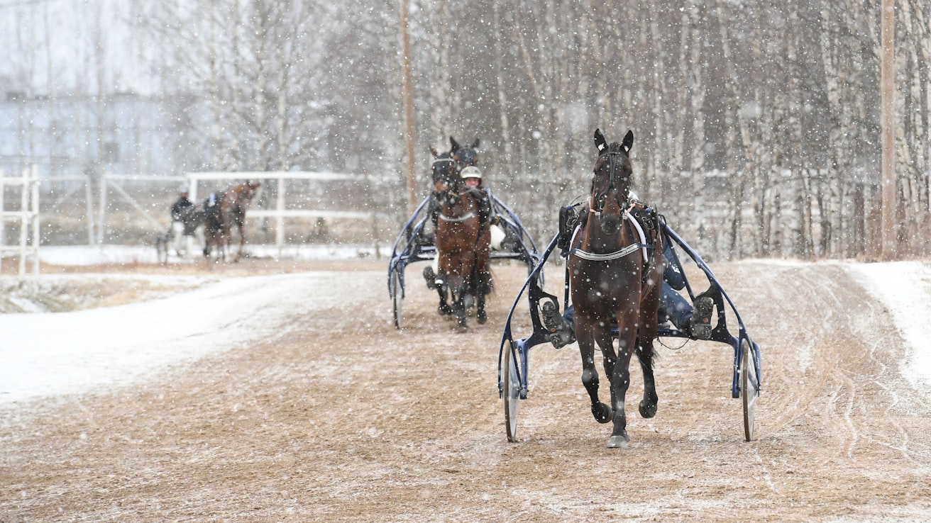 Suomalaisella raviurheilulla ja hevoskasvatuksella on edessään isoja muutoksia, jotka vaikuttavat koko hevosalaan.