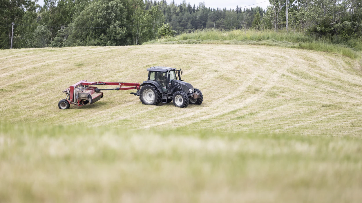 Lietteen levityksiä nurmille on lykätty monilla tiloilla, koska on haluttu välttää polttovaurioita kovien helteiden vuoksi.